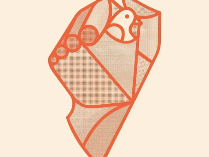 Immagine 4 del portfolio di Alessandro Vairo