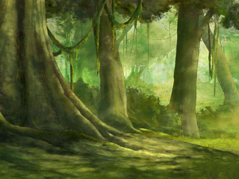 Immagine 5 del portfolio di Mario Breda