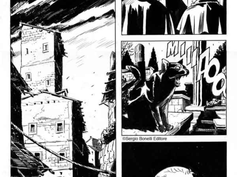 Immagine 2 del portfolio di Andrea Borgioli