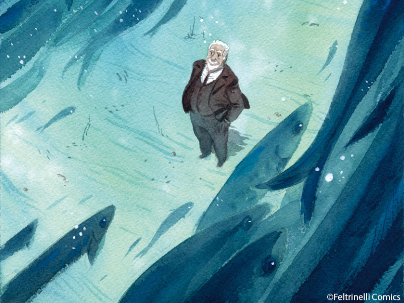 Immagine 2 del portfolio di Dario Grillotti