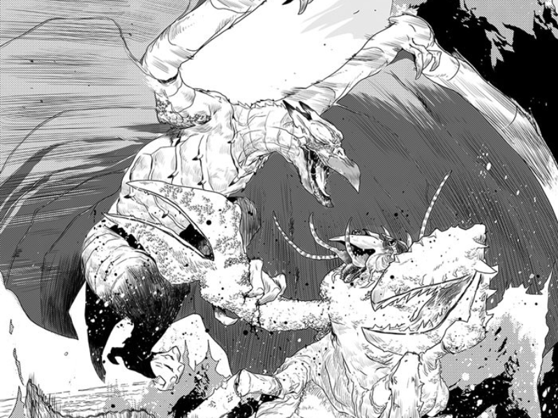 Immagine 1 del portfolio di Stefano Landini