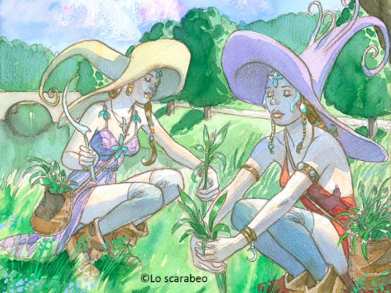 Immagine 2 del portfolio di Gianmarco Nizzoli