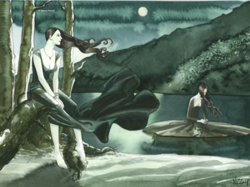 Immagine 4 del portfolio di Gianmarco Nizzoli