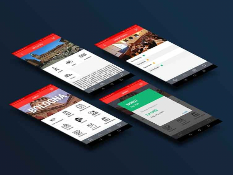 Immagine 2 del portfolio di Marco Zanichelli