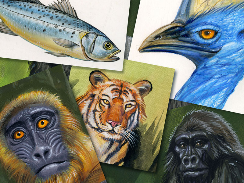 Immagine 3 del portfolio di Silvano Scolari