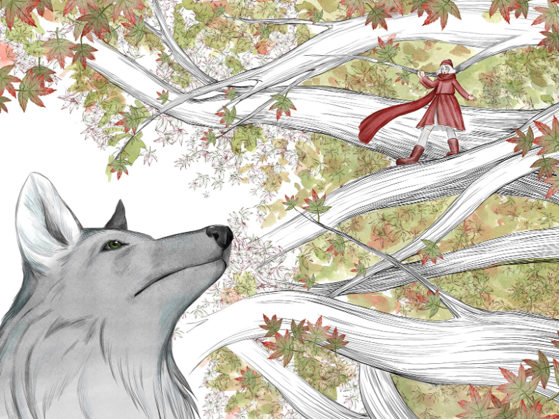 Immagine 1 del portfolio di Simona Versi