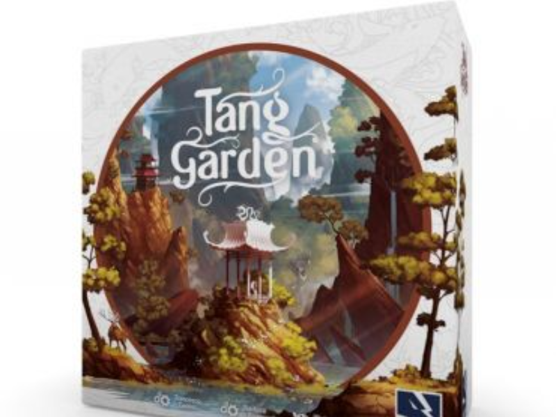 Immagine 4 del portfolio di Pierluca Zizzi