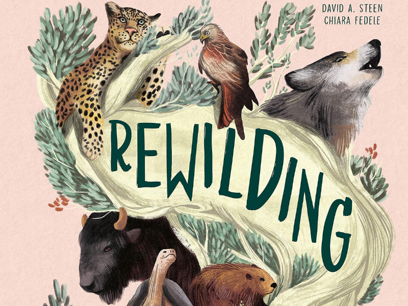 Immagine 2 del portfolio di Chiara Fedele