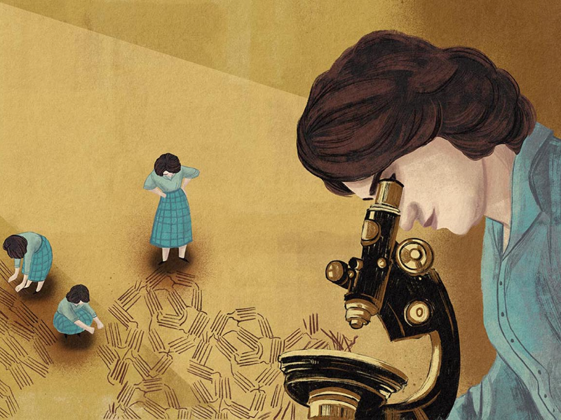 Immagine 4 del portfolio di Chiara Fedele