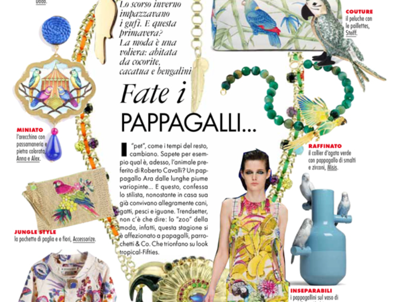 Immagine 5 del portfolio di Angela Simone