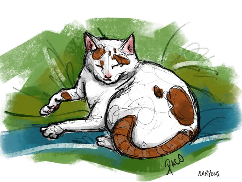 Immagine 4 del portfolio di Rosa Naryelis Finocchiaro