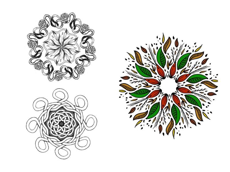 Immagine 5 del portfolio di Rosa Naryelis Finocchiaro