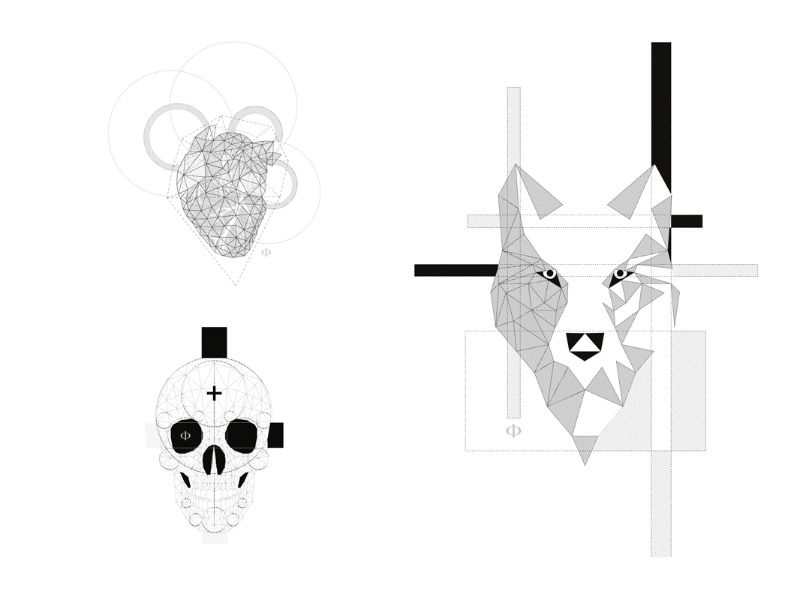 Immagine 8 del portfolio di Rosa Naryelis Finocchiaro