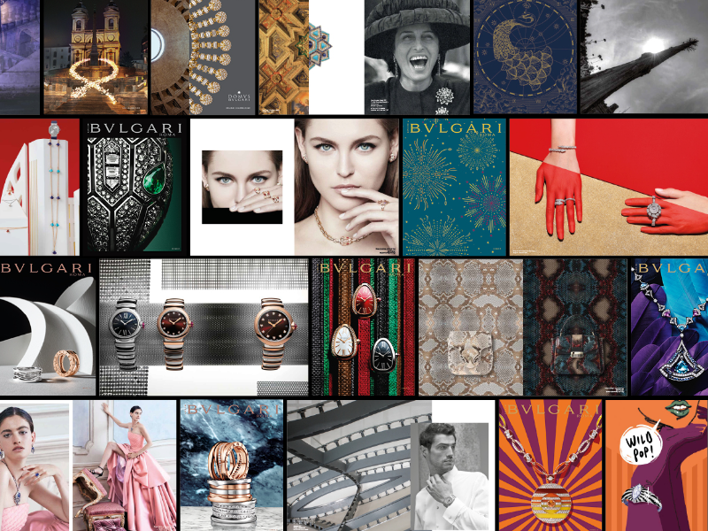 Immagine 1 del portfolio di Susanna Mollica