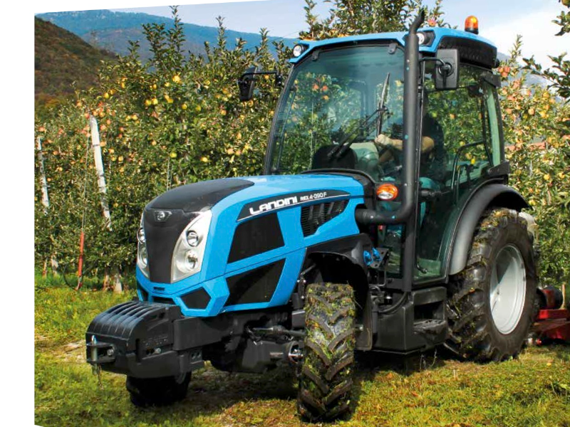 Immagine 3 del portfolio di Renan Rinaldi