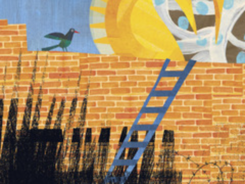 Immagine 2 del portfolio di Giulia Orecchia