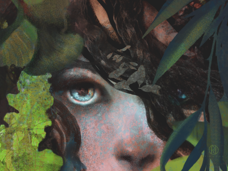 Immagine 5 del portfolio di Paolo D'Altan