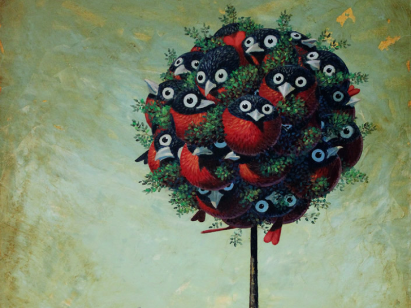 Immagine 7 del portfolio di Paolo Rui