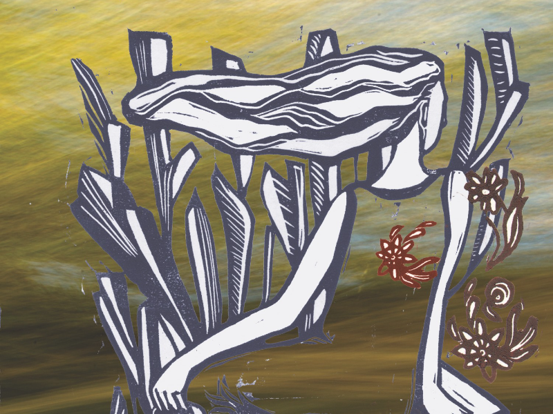 Immagine 2 del portfolio di Valentina Biletta