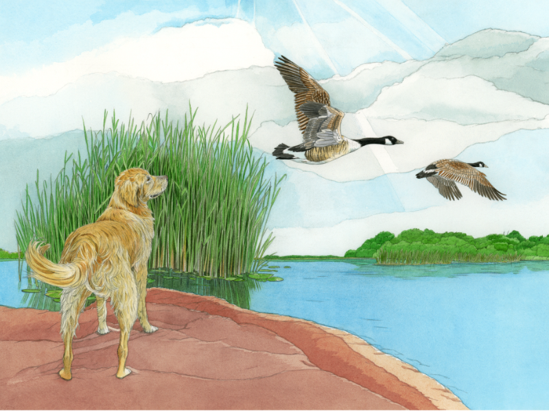 Immagine 3 del portfolio di Patrizia Donaera