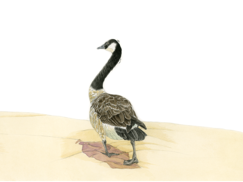 Immagine 4 del portfolio di Patrizia Donaera