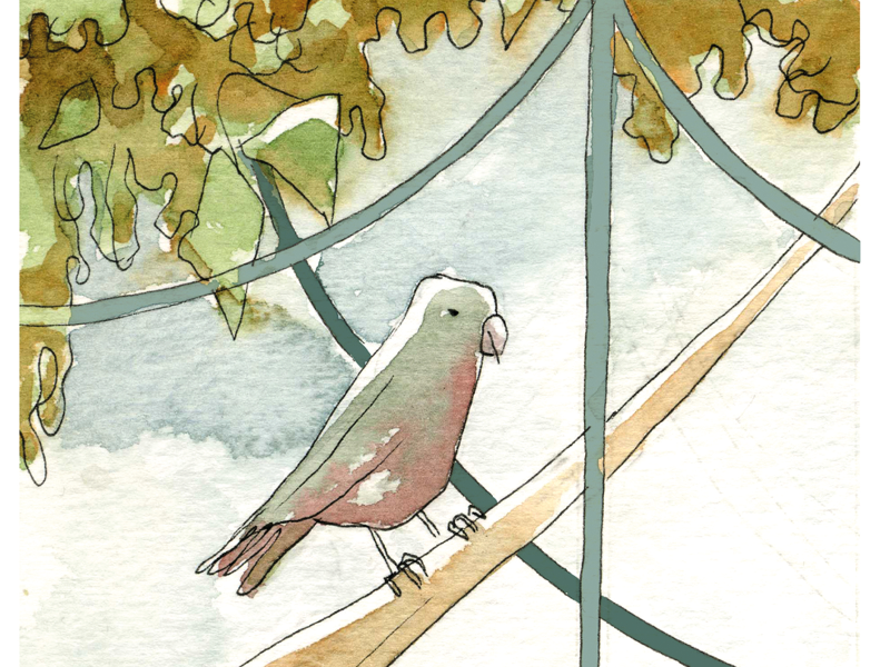 Immagine 3 del portfolio di Sergio Algozzino