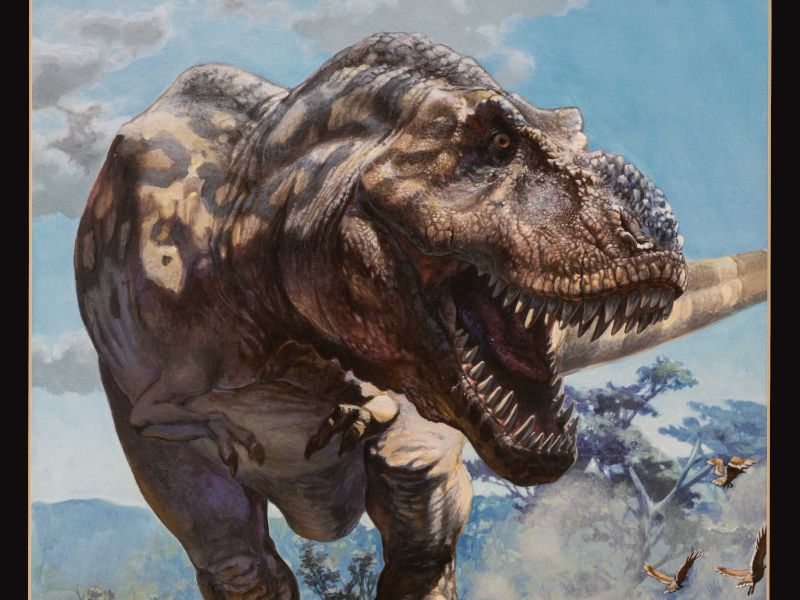 Immagine 2 del portfolio di Andrea Iula