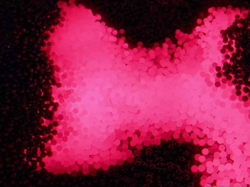 Immagine 1 del portfolio di Luca Zecchi