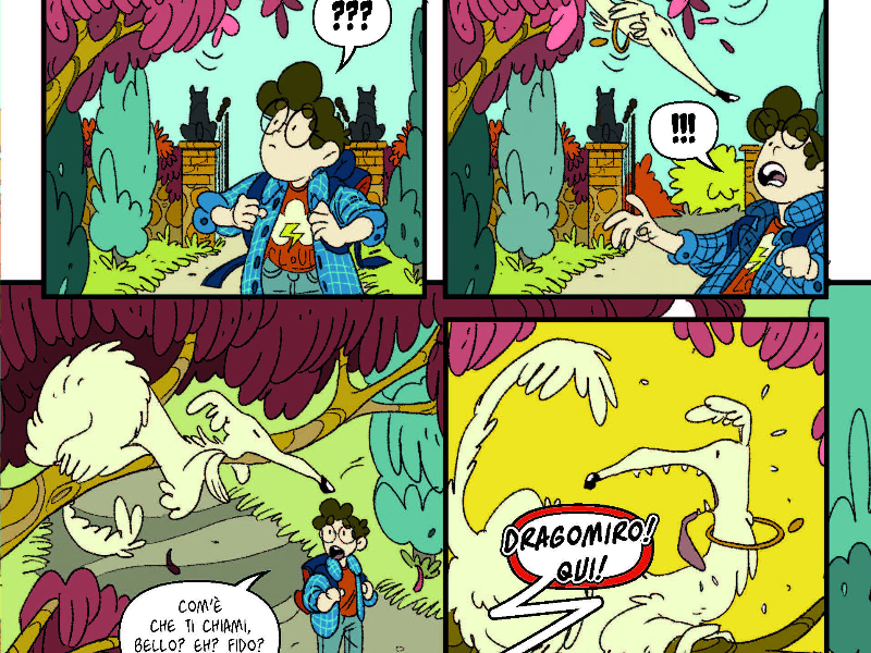 Immagine 6 del portfolio di Susanna Mariani