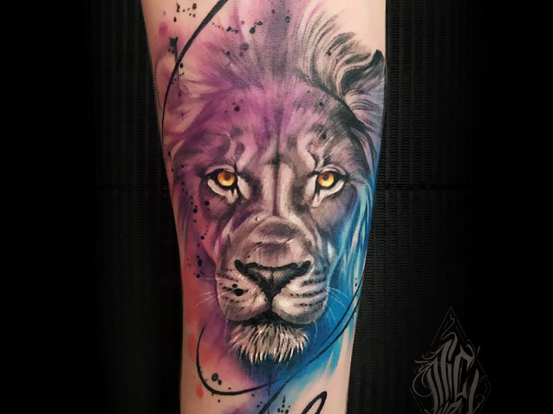 Immagine 1 del portfolio di Michel Mammi