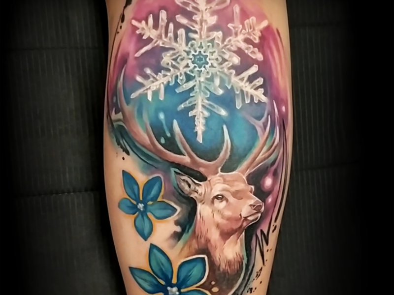 Immagine 3 del portfolio di Michel Mammi