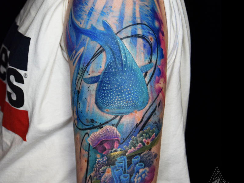 Immagine 6 del portfolio di Michel Mammi