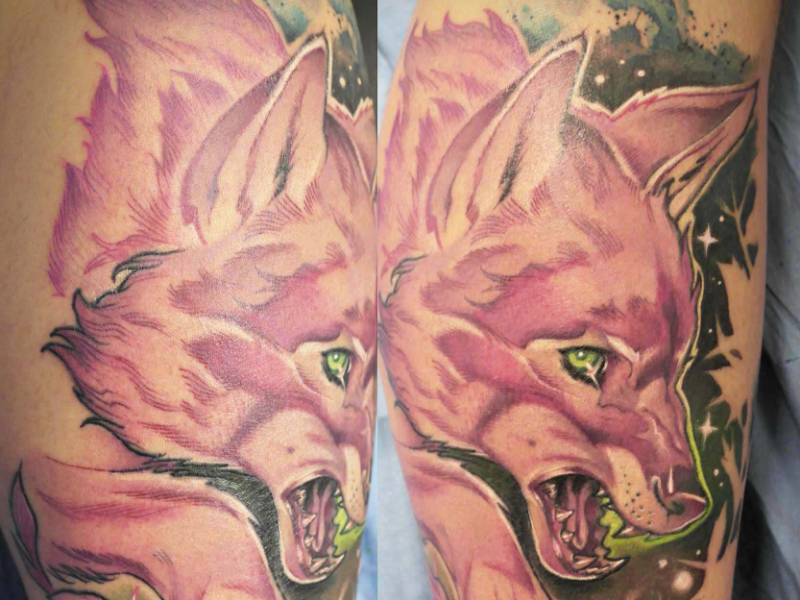 Immagine 8 del portfolio di Michel Mammi