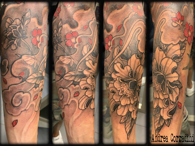 Immagine 2 del portfolio di Andrea Corradini