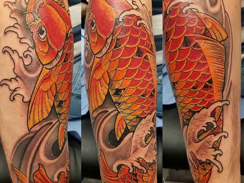 Immagine 4 del portfolio di Andrea Corradini