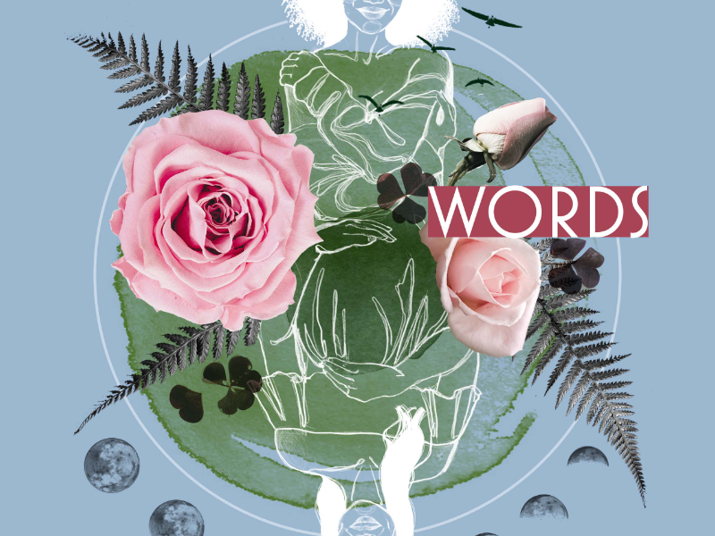 Immagine 2 del portfolio di Anna Marcinkiewicz