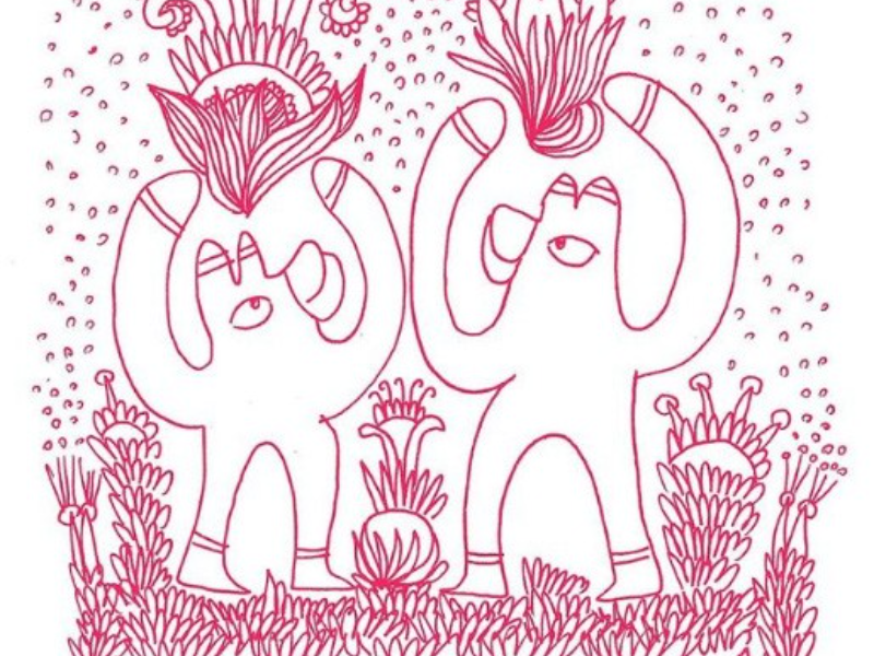 Immagine 1 del portfolio di Stefania D'Amato