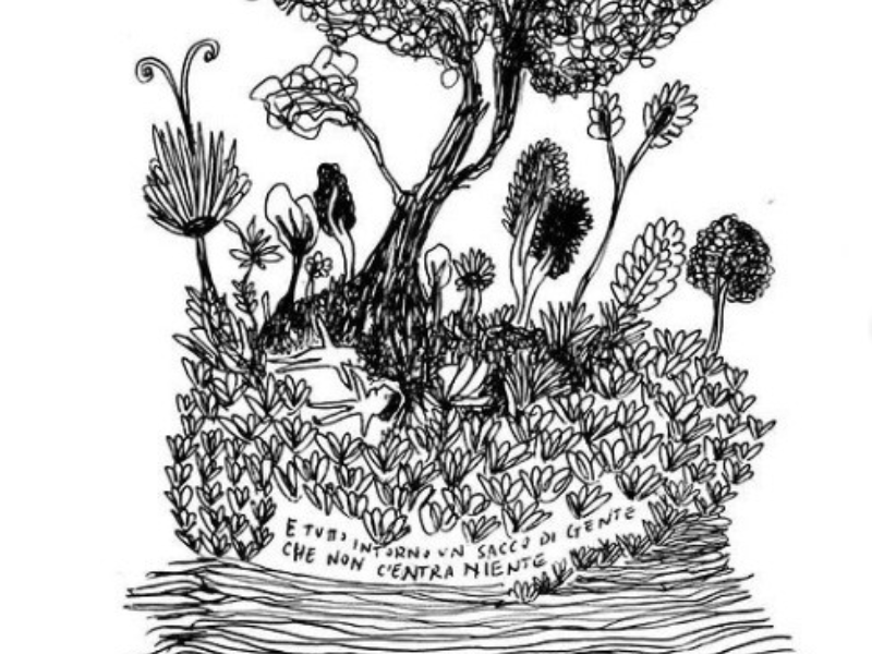 Immagine 4 del portfolio di Stefania D'Amato