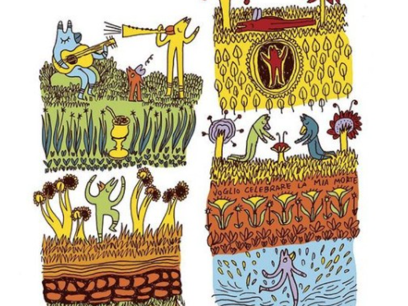 Immagine 5 del portfolio di Stefania D'Amato