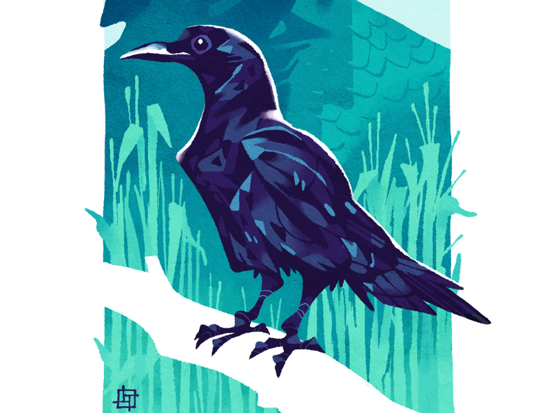 Immagine 3 del portfolio di Lorenzo Fornaciari