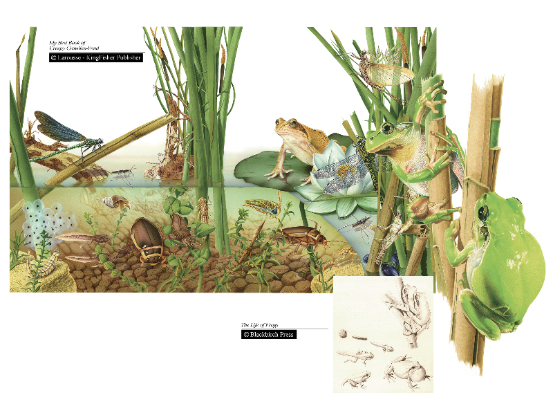 Immagine 8 del portfolio di Andrea Ricciardi Di Gaudesi