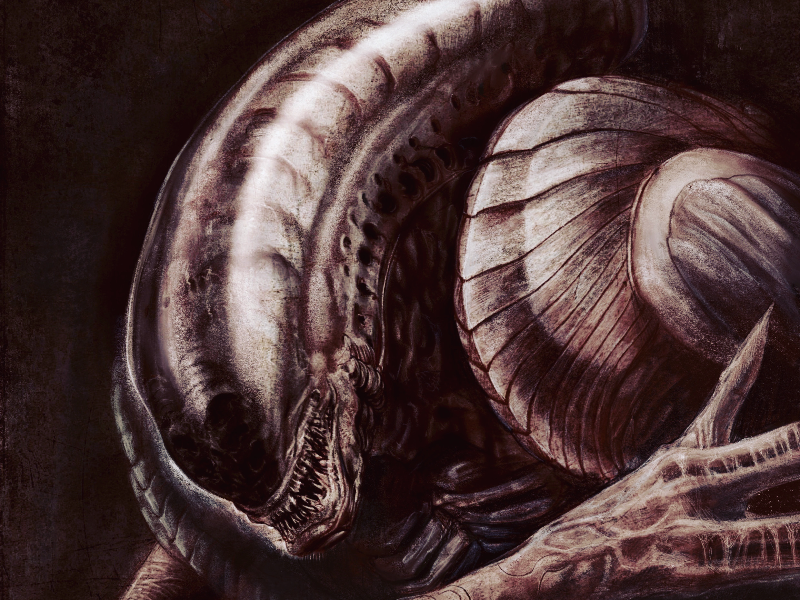 Immagine 1 del portfolio di Mattia Sarti