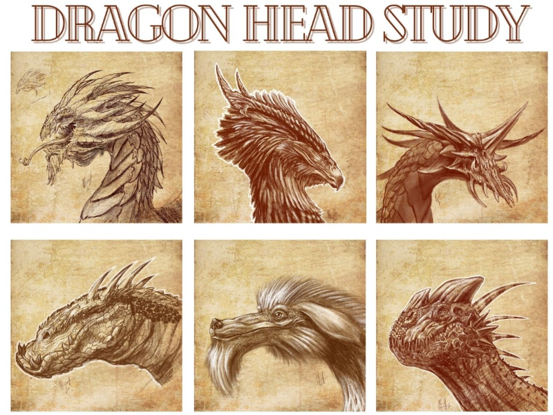 Immagine 4 del portfolio di Mattia Sarti