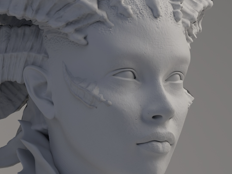 Immagine 4 del portfolio di Roberto Verdiani