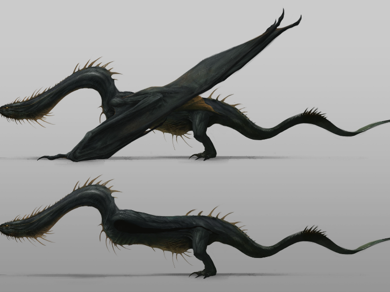 Immagine 5 del portfolio di Marco Dotti