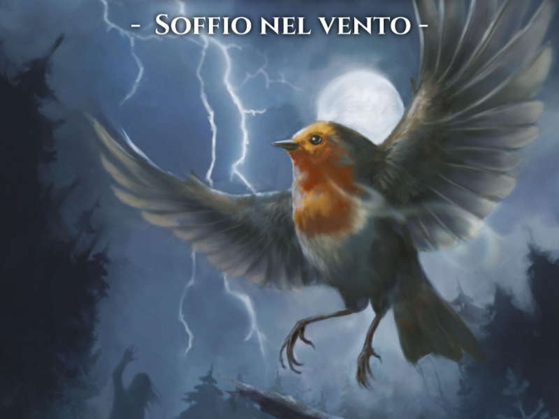 Immagine 4 del portfolio di Giulia Costanzo