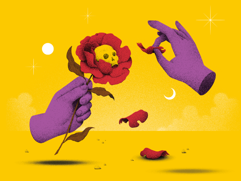 Immagine 1 del portfolio di Luca D’Urbino