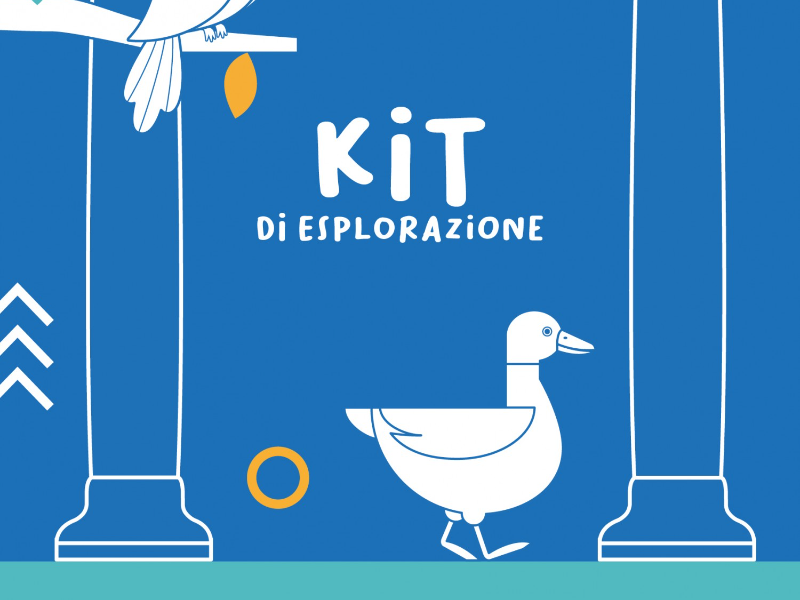 Immagine 1 del portfolio di Arianna Zuppello