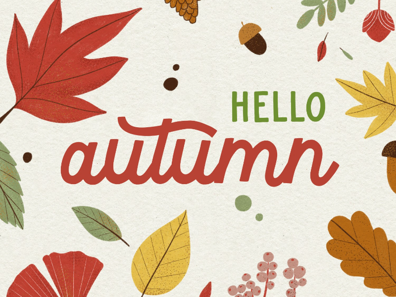 Immagine 2 del portfolio di Arianna Zuppello