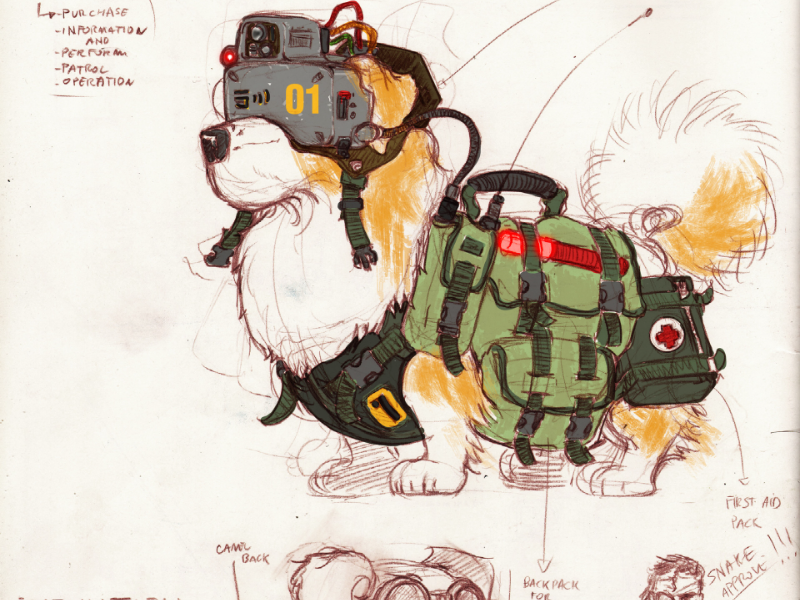 Immagine 4 del portfolio di Lapo Roccella